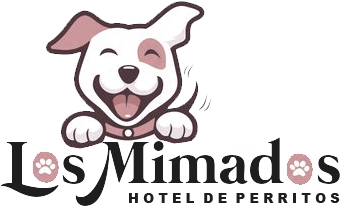 My Blog